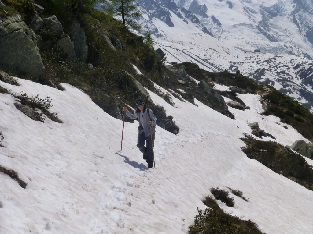 1255 - 20130618 Chamonix