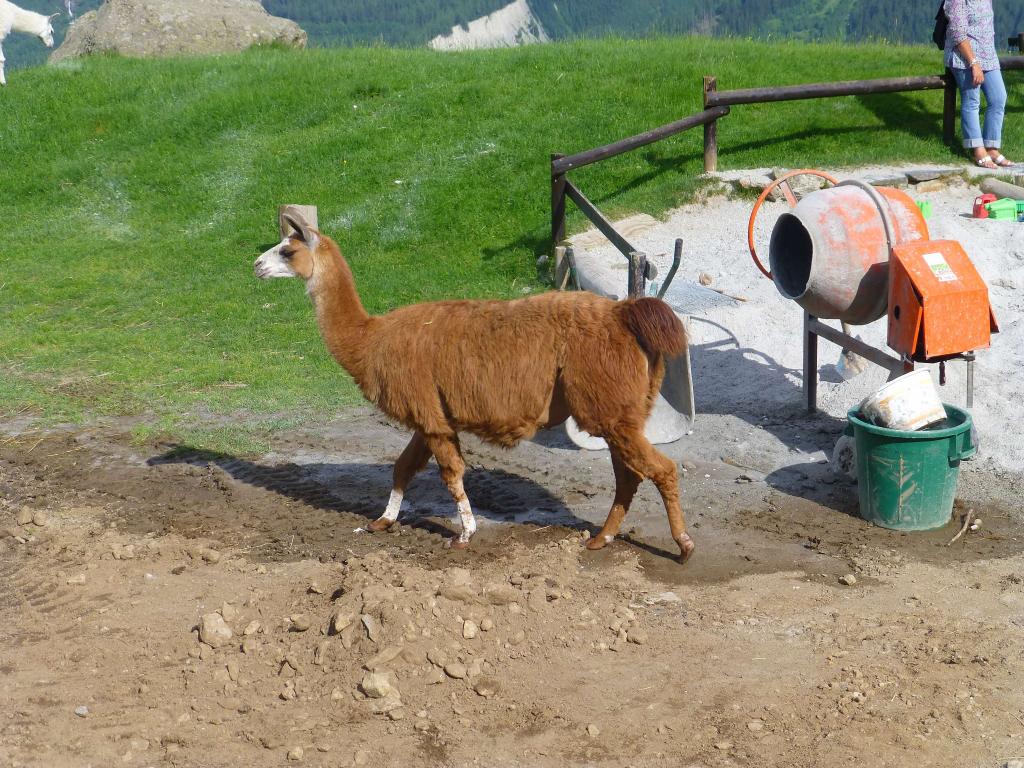 1823 - 20130619 Chamonix