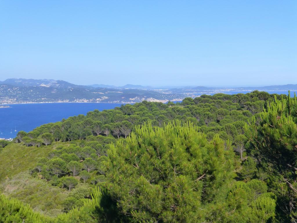 2629 - 20130622 Cassis