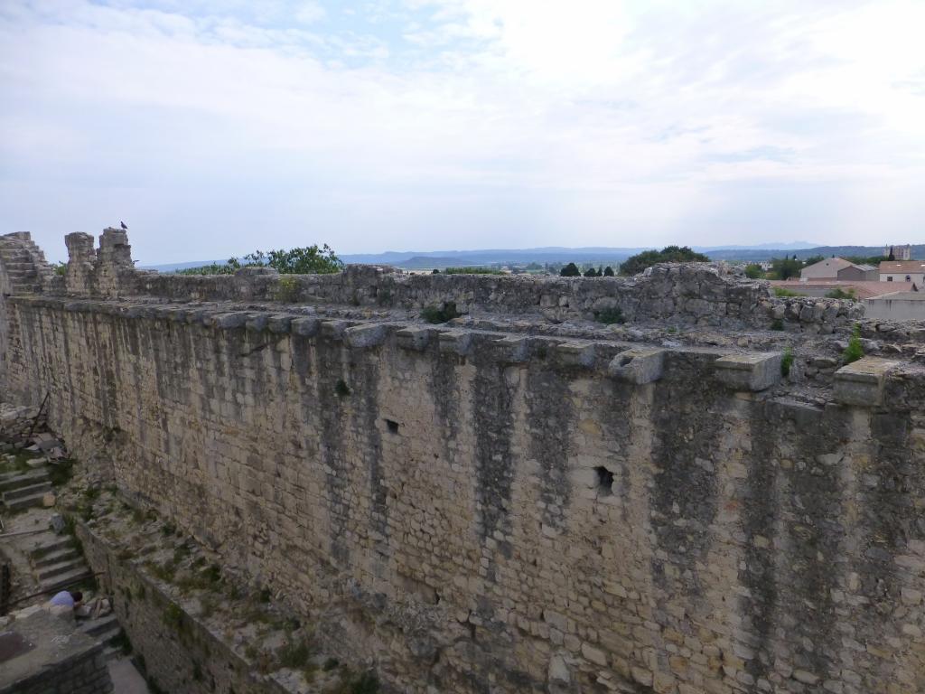 3625 - 20130628 Day11 Carcasonne