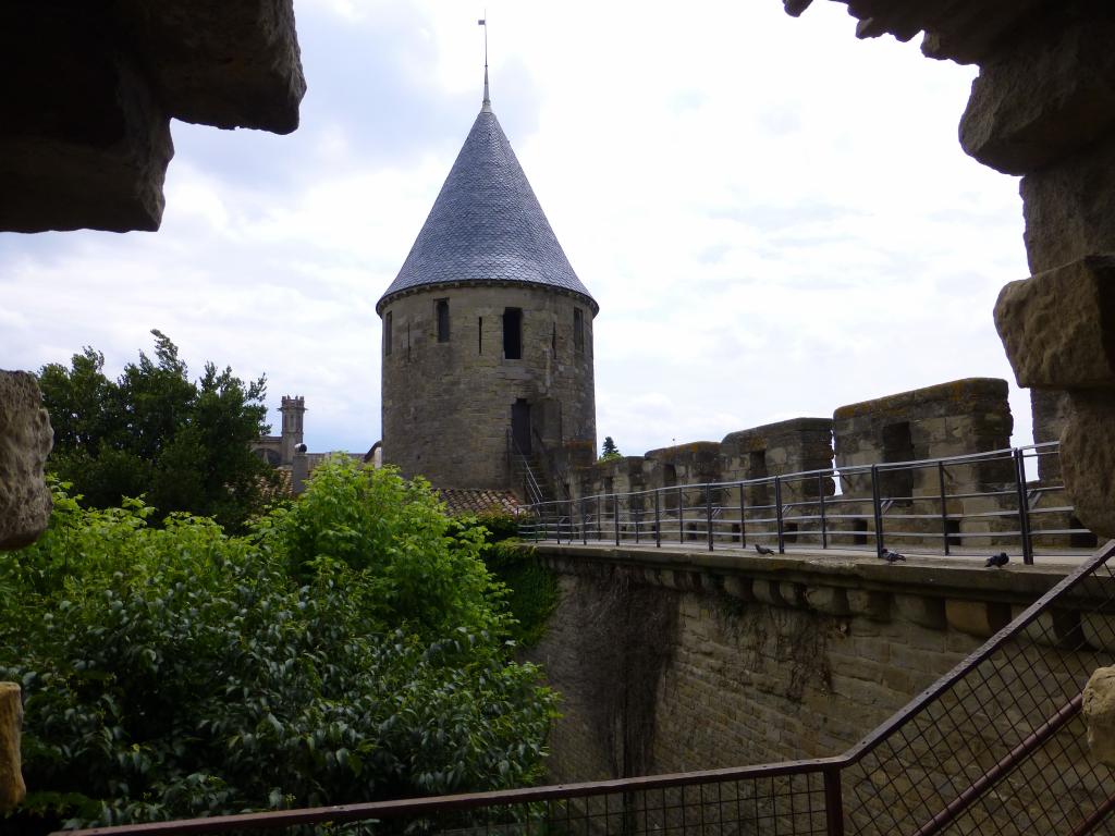 3653 - 20130628 Day11 Carcasonne