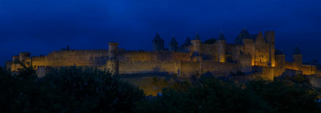 3743 - 20130628 Day11 Carcasonne