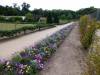 4579 - 20130702 Day15 Amboise
