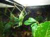 502 - Insectarium