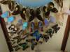 540 - Insectarium