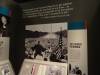 3152 - American History