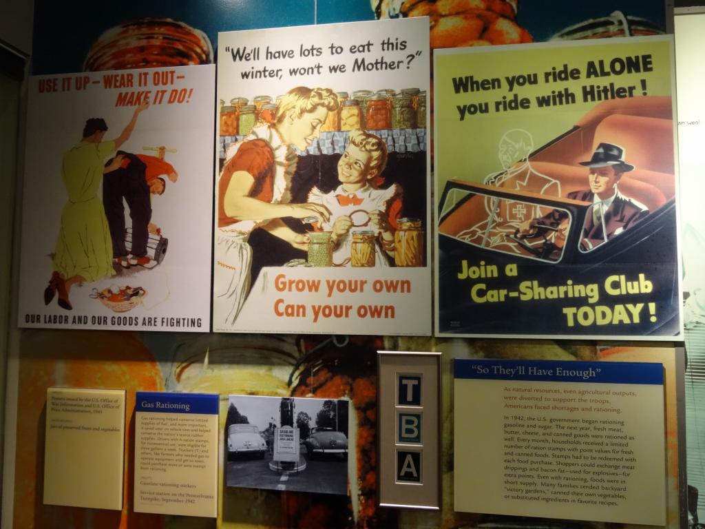 3145 - American History