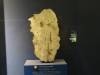5202 - Natural History