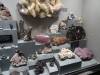 5207 - Natural History
