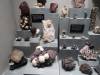 5208 - Natural History