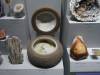 5219 - Natural History
