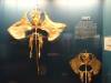 5225 - Natural History