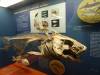 5226 - Natural History
