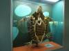 5229 - Natural History