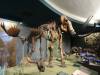 5235 - Natural History