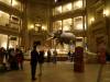 5243 - Natural History