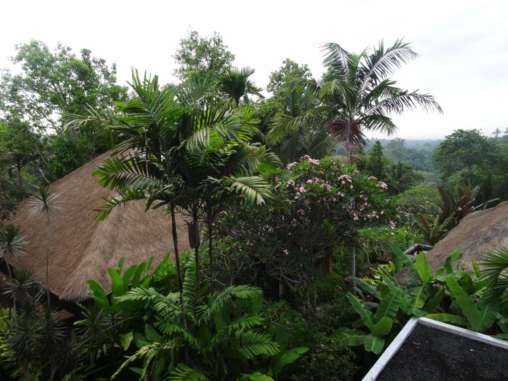 2002 - 20131124 Day05 Bali