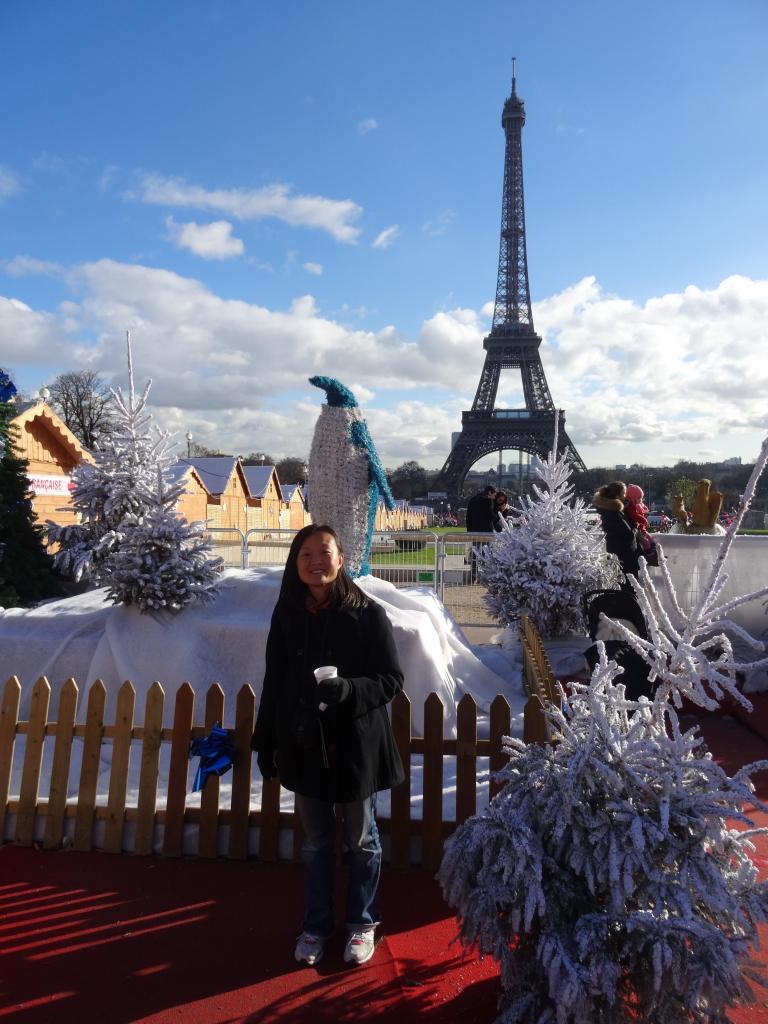 684 - Bateau Mouche Champs Elysees