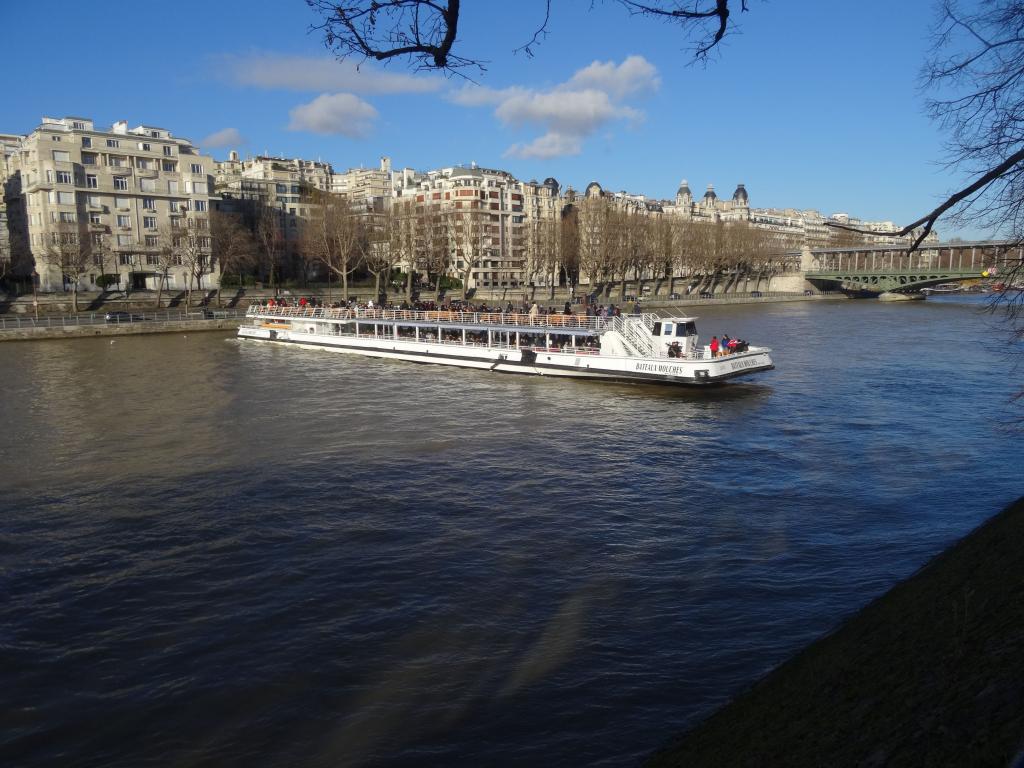 713 - Bateau Mouche Champs Elysees