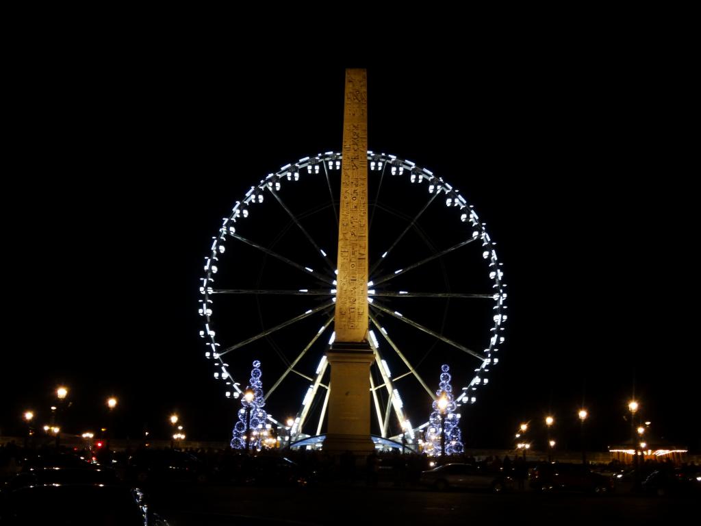 874 - Bateau Mouche Champs Elysees