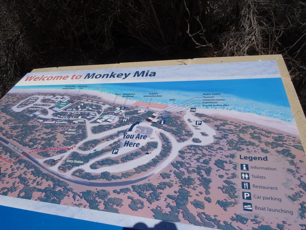 235 - Monkey Mia Shark Bay