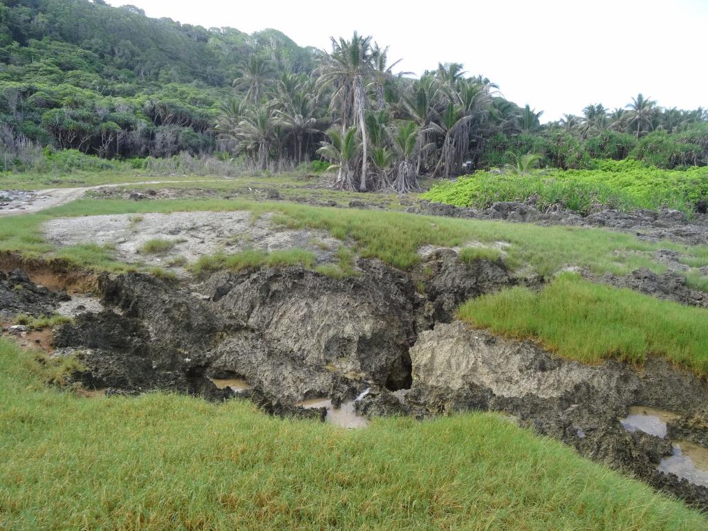 122 - 20140111 Xmas Island