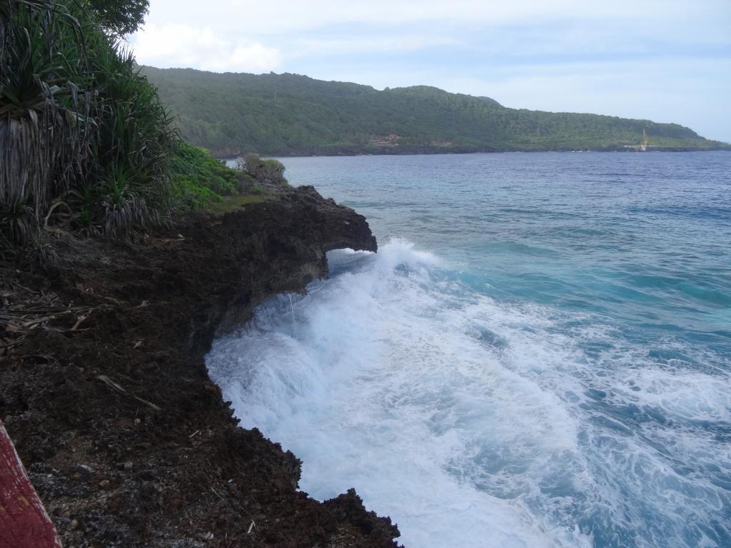 137 - 20140111 Xmas Island