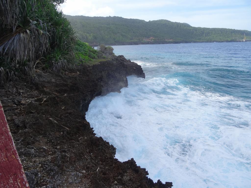 145 - 20140111 Xmas Island