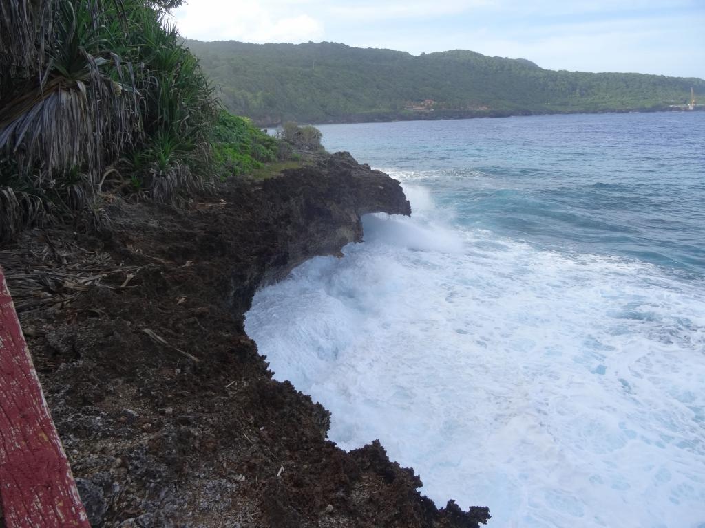 146 - 20140111 Xmas Island