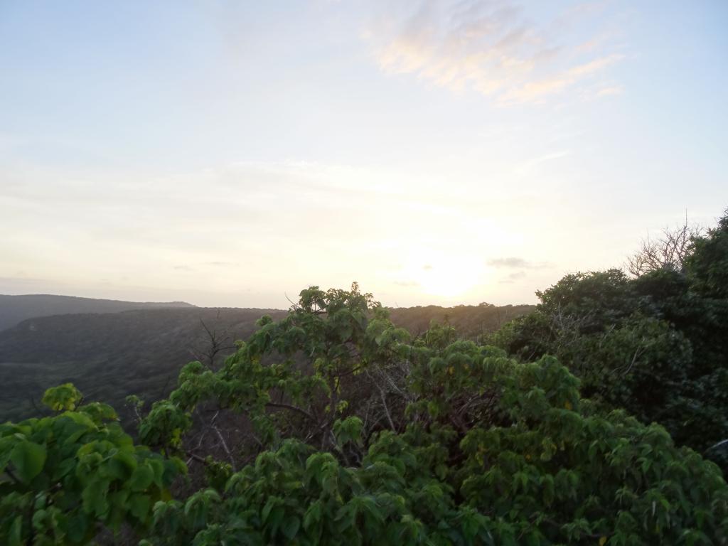 305 - 20140111 Xmas Island