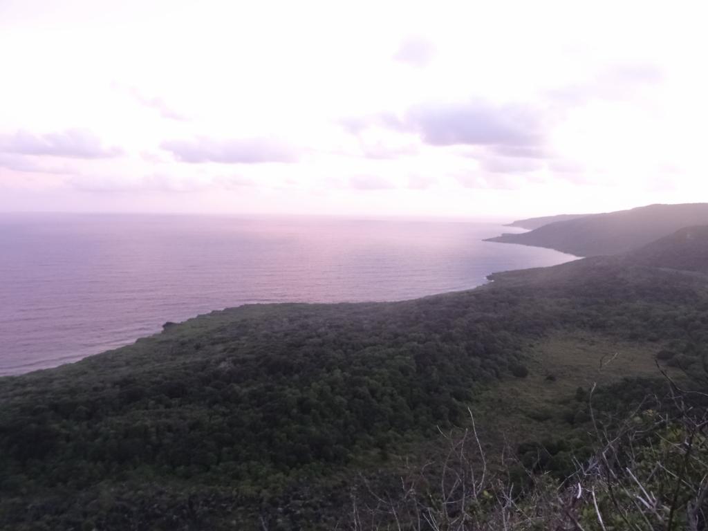 384 - 20140111 Xmas Island