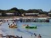 102 - 20140117 Rottnest Island