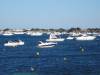 151 - 20140117 Rottnest Island