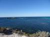 152 - 20140117 Rottnest Island