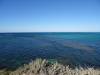 153 - 20140117 Rottnest Island