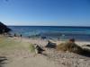 158 - 20140117 Rottnest Island