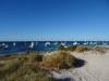 168 - 20140117 Rottnest Island