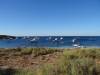 171 - 20140117 Rottnest Island