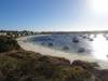 184 - 20140117 Rottnest Island