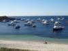 193 - 20140117 Rottnest Island