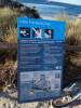 196 - 20140117 Rottnest Island