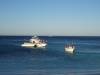 205 - 20140117 Rottnest Island