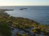 209 - 20140117 Rottnest Island