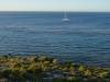 210 - 20140117 Rottnest Island