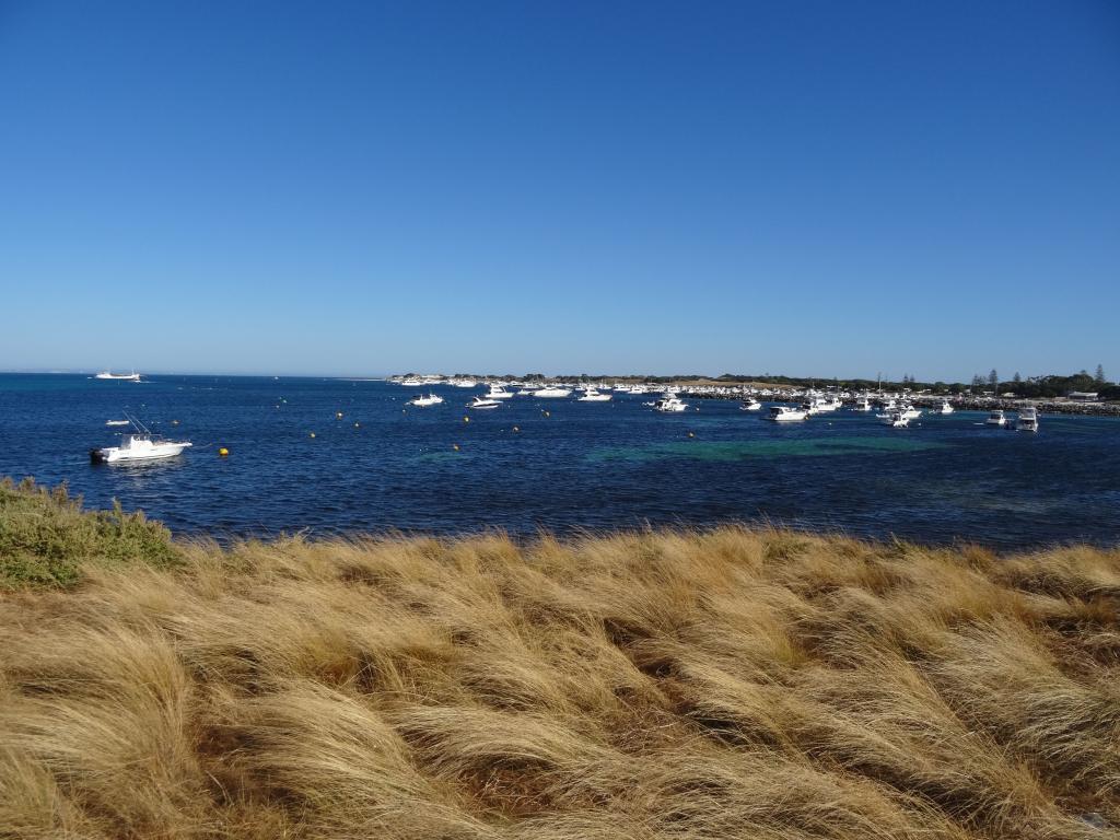 149 - 20140117 Rottnest Island