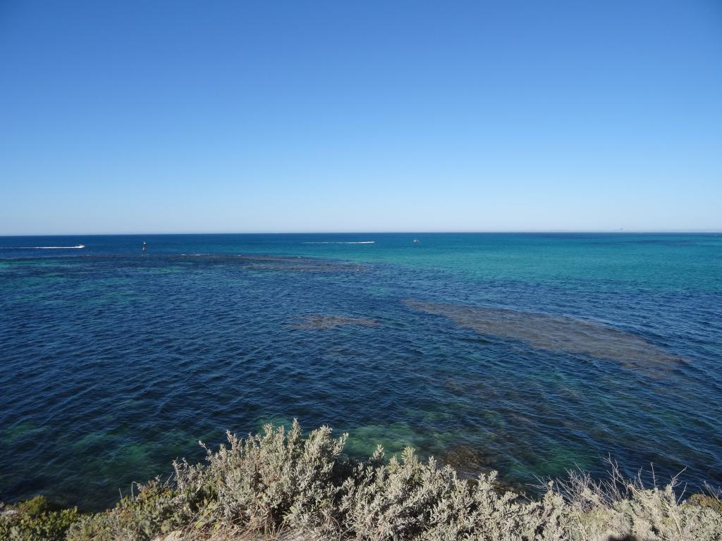 153 - 20140117 Rottnest Island