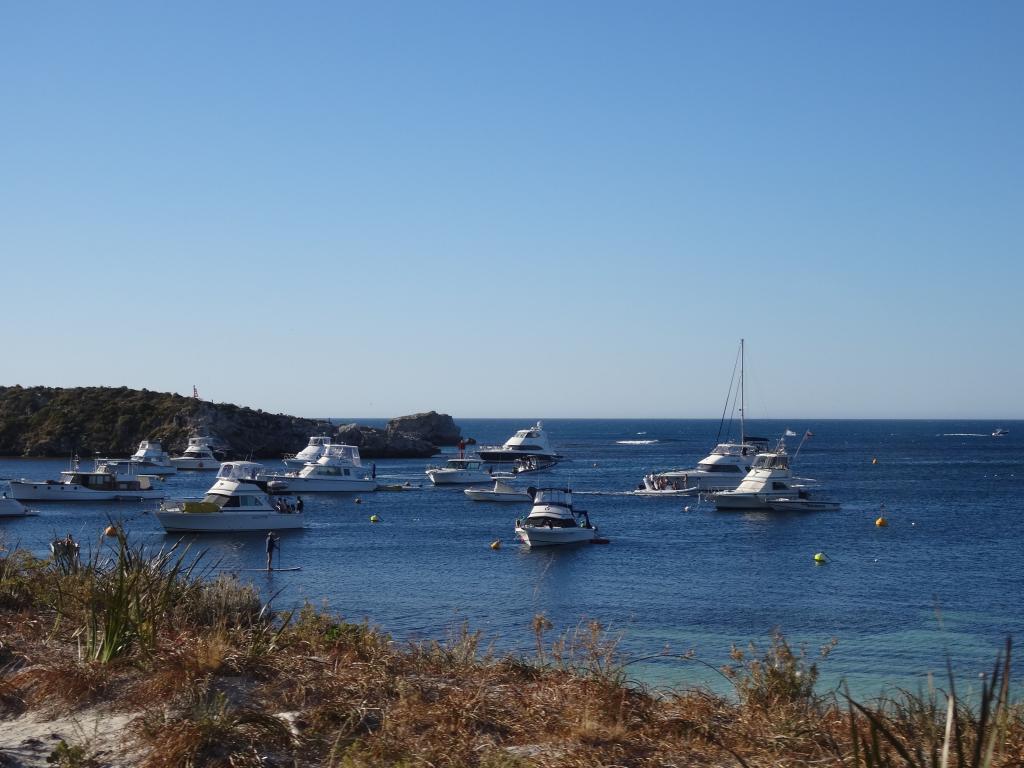 170 - 20140117 Rottnest Island