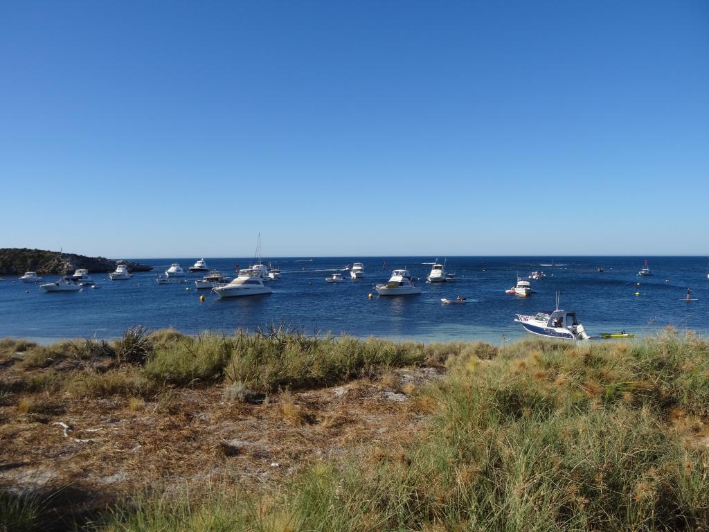 171 - 20140117 Rottnest Island