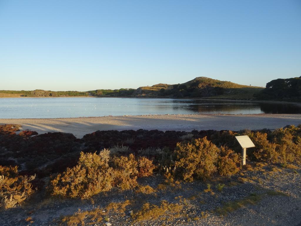 222 - 20140117 Rottnest Island