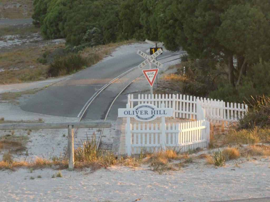 231 - 20140117 Rottnest Island